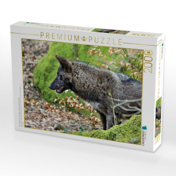 Der Timberwolf - Der Jäger aus den Rocky Mountains - CALVENDO Foto-Puzzle'