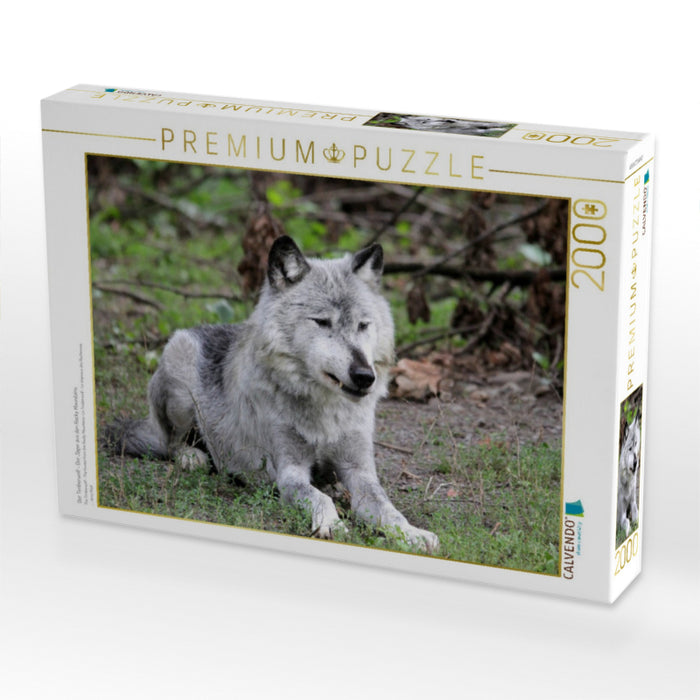 Der Timberwolf - Der Jäger aus den Rocky Mountains - CALVENDO Foto-Puzzle'