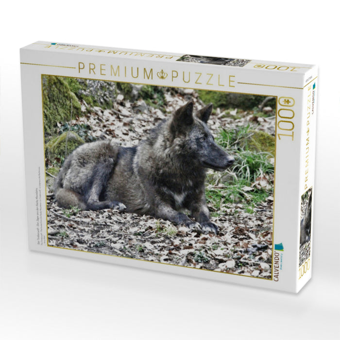 Der Timberwolf - Der Jäger aus den Rocky Mountains - CALVENDO Foto-Puzzle'