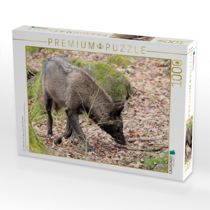 Der Timberwolf - Der Jäger aus den Rocky Mountains - CALVENDO Foto-Puzzle'