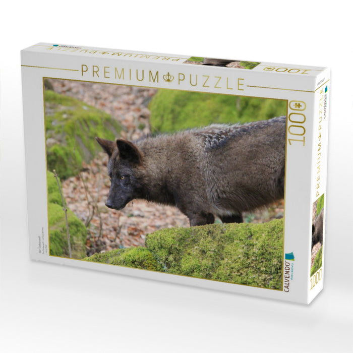 Der Timberwolf - CALVENDO Foto-Puzzle'