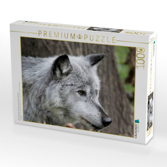Der Timberwolf - Der Jäger aus den Rocky Mountains - CALVENDO Foto-Puzzle'