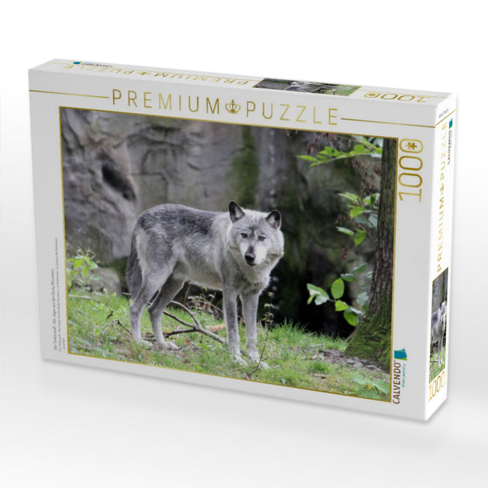 Der Timberwolf - Der Jäger aus den Rocky Mountains - CALVENDO Foto-Puzzle'