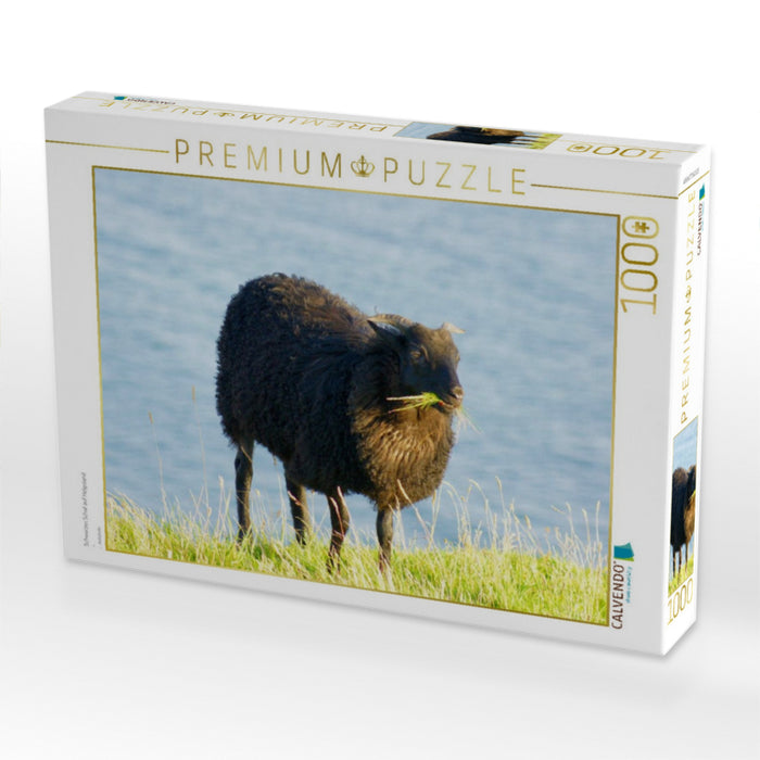 Schwarzes Schaf auf Helgoland - CALVENDO Foto-Puzzle'