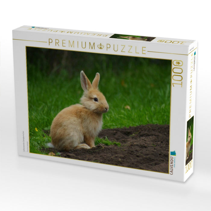 Liebenswertes Zwergkaninchen - CALVENDO Foto-Puzzle'