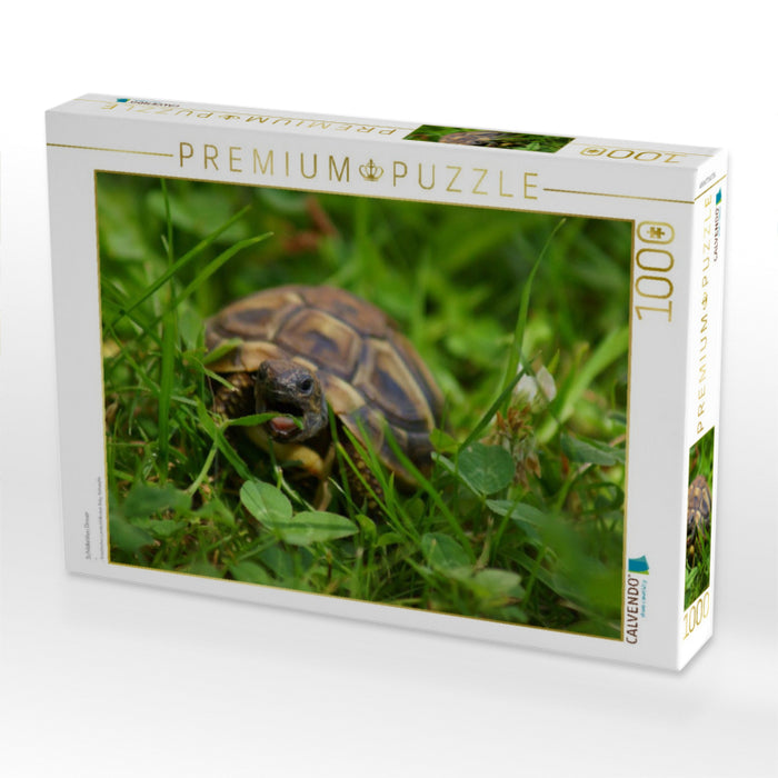 Schildkröten Dinner - CALVENDO Foto-Puzzle'