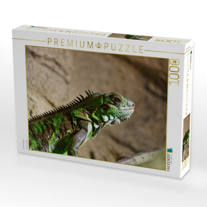 Grüner Leguan - CALVENDO Foto-Puzzle'
