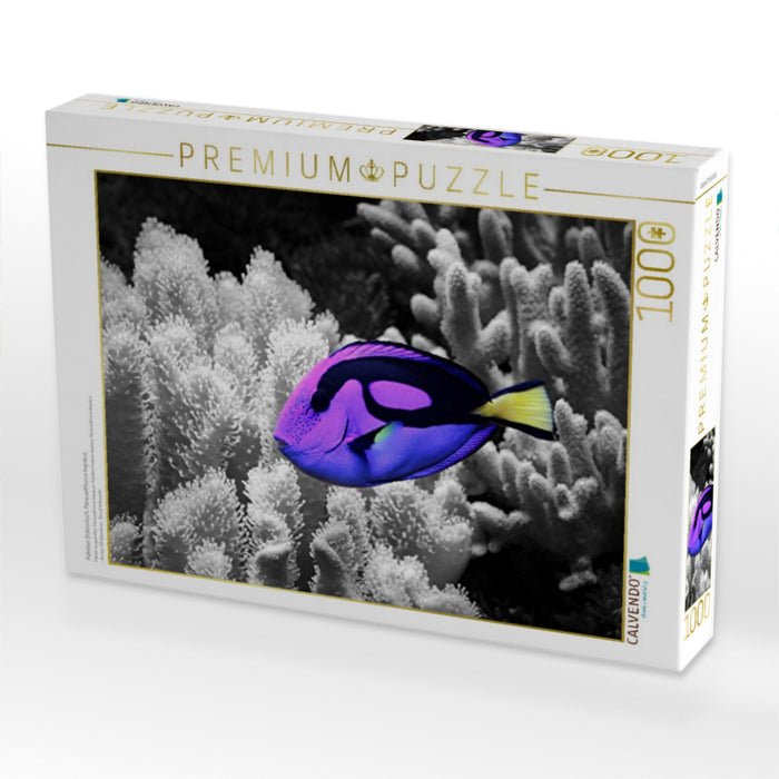 Paletten Doktorfisch, Paracanthurus hepatus - CALVENDO Foto-Puzzle'