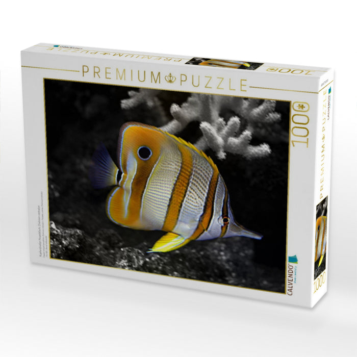 Kupferstreifen Pinzettfisch, Chelmon rostratus - CALVENDO Foto-Puzzle'