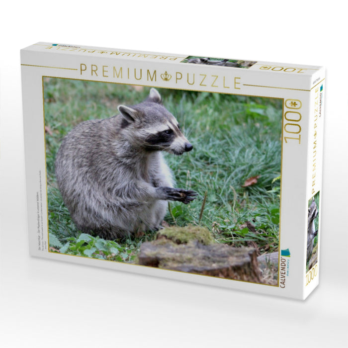 Der Waschbär - Der Maskenträger in unseren Wäldern - CALVENDO Foto-Puzzle'