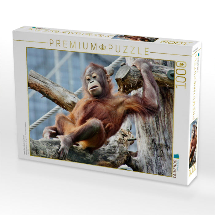 Orang Utan-Heute mal chillen - CALVENDO Foto-Puzzle'