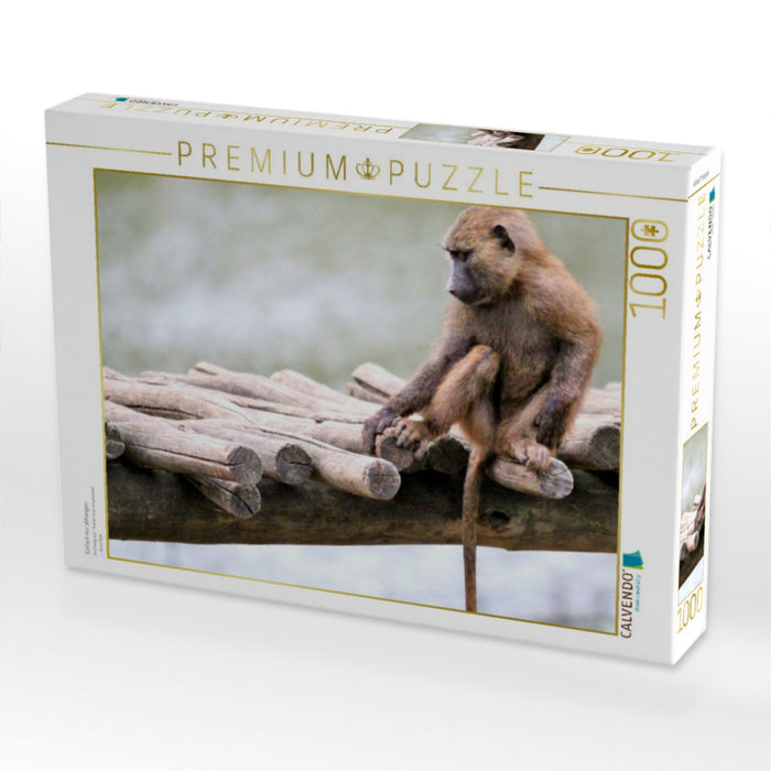 Einfach nur abhängen - CALVENDO Foto-Puzzle'