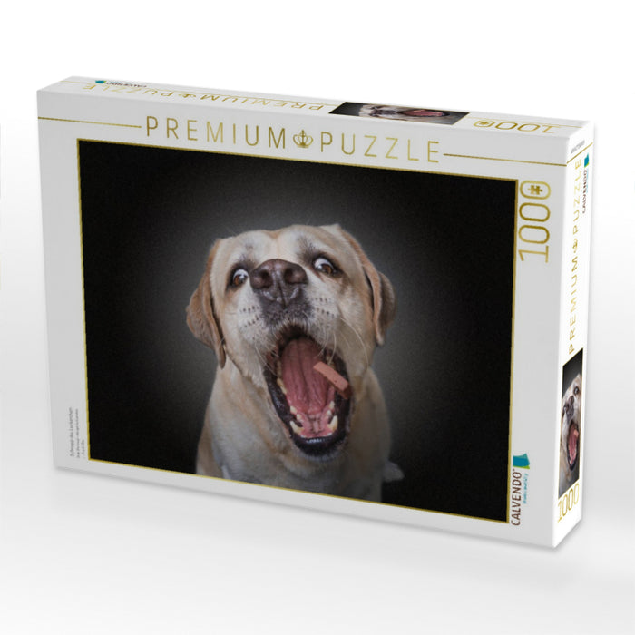 Schnapp das Leckerchen - CALVENDO Foto-Puzzle'