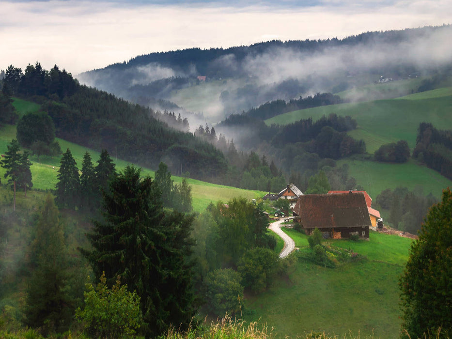 Morgennebel - CALVENDO Foto-Puzzle'