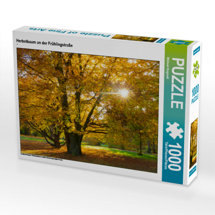 Autumn tree on the spring street - CALVENDO photo puzzle 