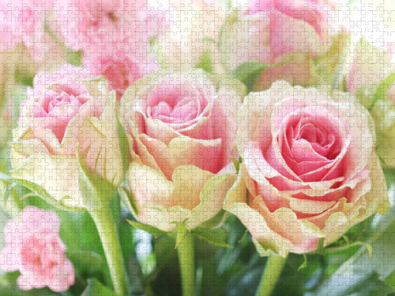 Rosa Rosen - CALVENDO Foto-Puzzle'