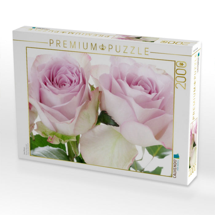 Zwei Rosen - CALVENDO Foto-Puzzle'