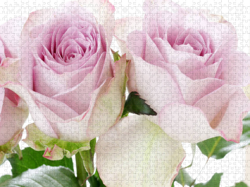 Zwei Rosen - CALVENDO Foto-Puzzle'