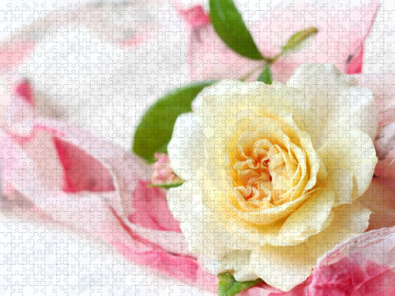 Hellgelbe Rose - CALVENDO Foto-Puzzle'