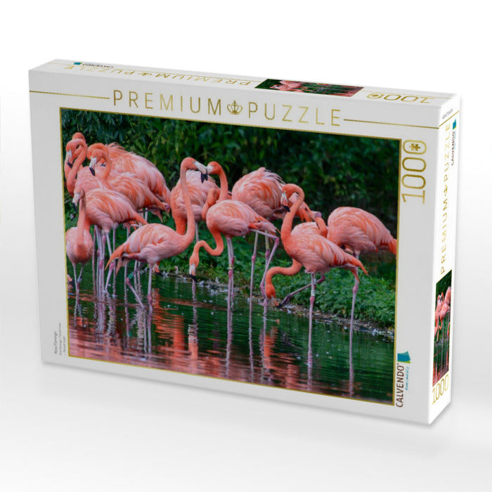 Rosa Flamingo - CALVENDO Foto-Puzzle'