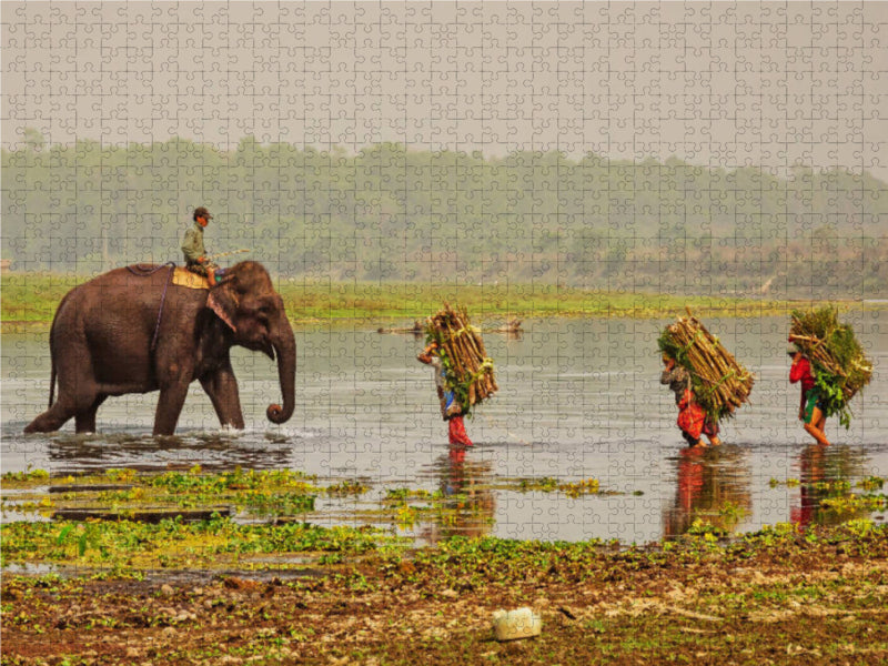 Abendliche Heimkehr im Chitwan Nationalpark 1000 Teile Puzzle quer - CALVENDO Foto-Puzzle'