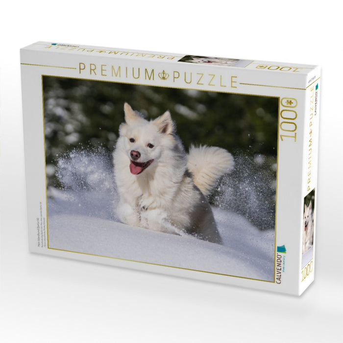 Mein Islandhund Djarfur (4) - CALVENDO Foto-Puzzle'