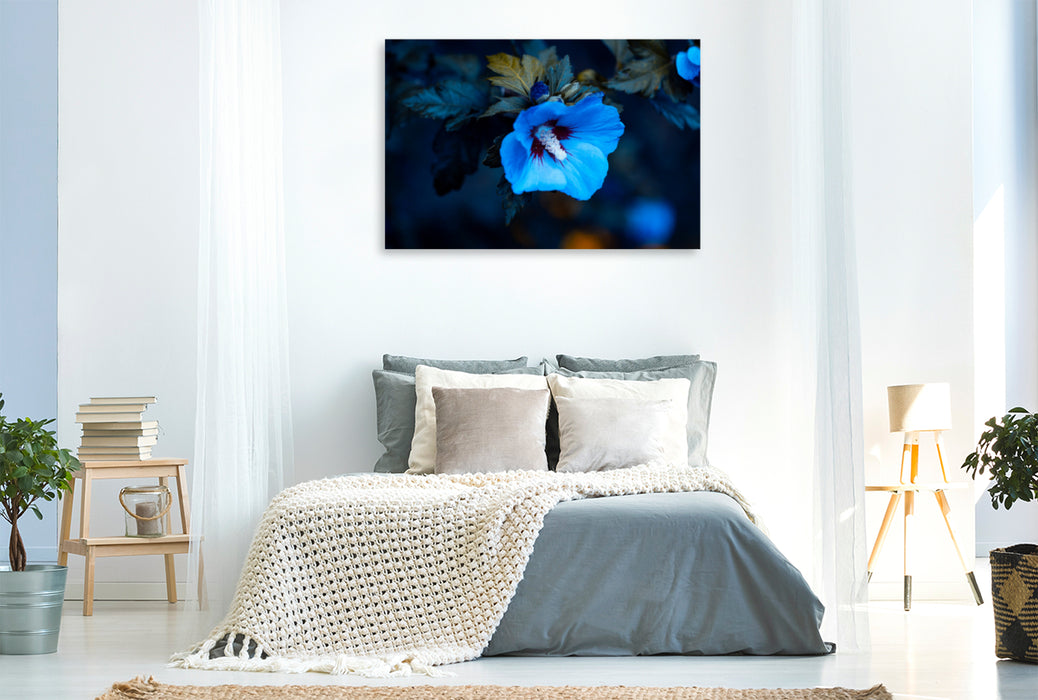 Premium Textil-Leinwand Premium Textil-Leinwand 120 cm x 80 cm quer Blauer Hibiskus (Hibiscus)