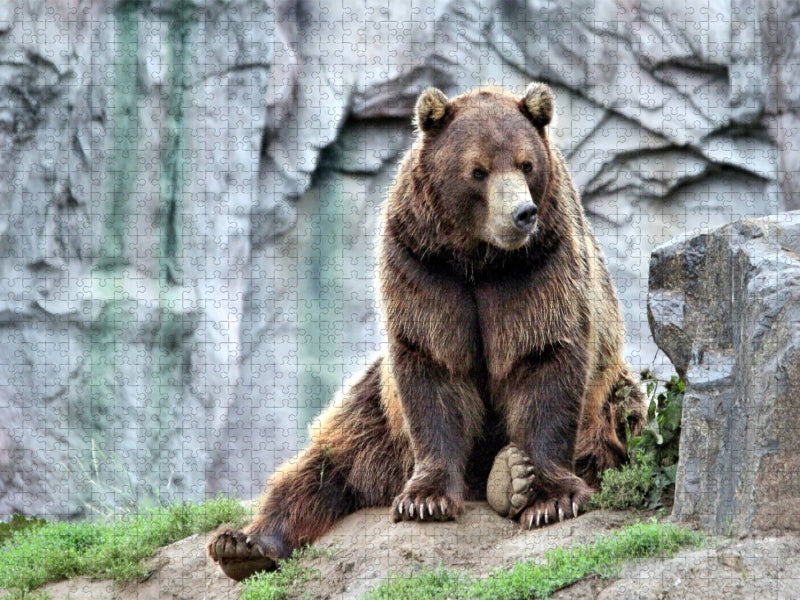 Der Kamtschatka-Braunbär - CALVENDO Foto-Puzzle'