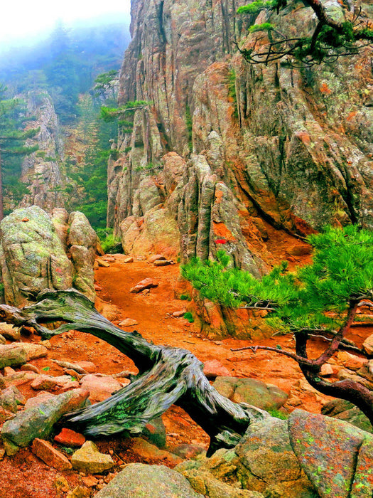 Wanderung durch das Bavella Massiv auf Korsika - CALVENDO Foto-Puzzle'