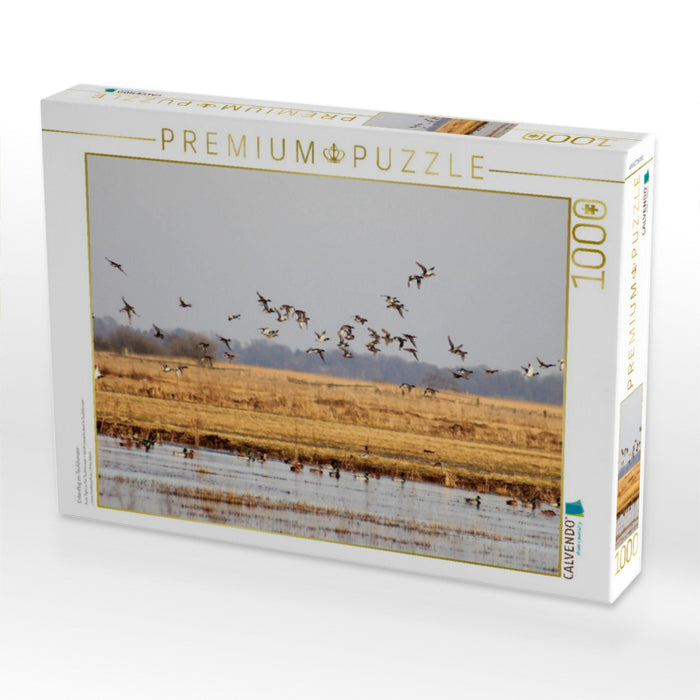 Entenflug im Teufelsmoor - CALVENDO Foto-Puzzle'