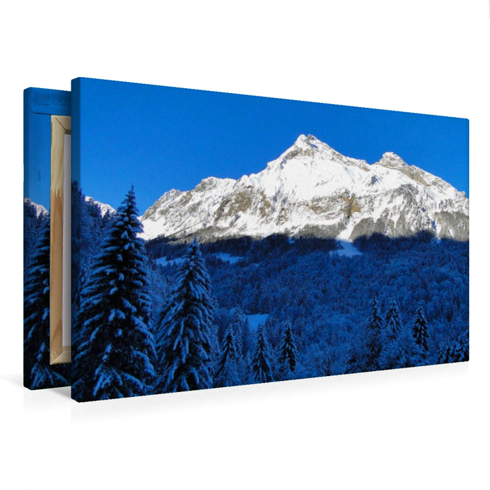 Premium Textil-Leinwand Fluebrig / SZ