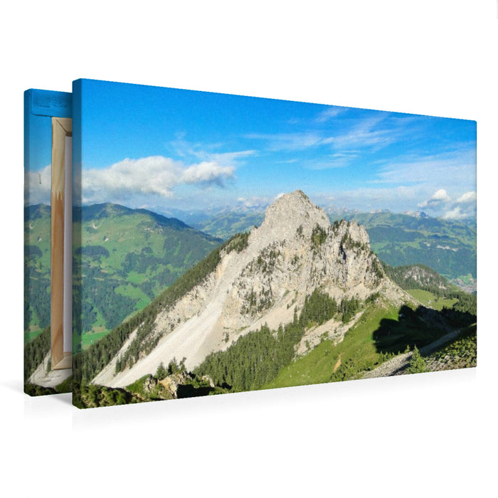 Premium Textil-Leinwand Gandhore / BE