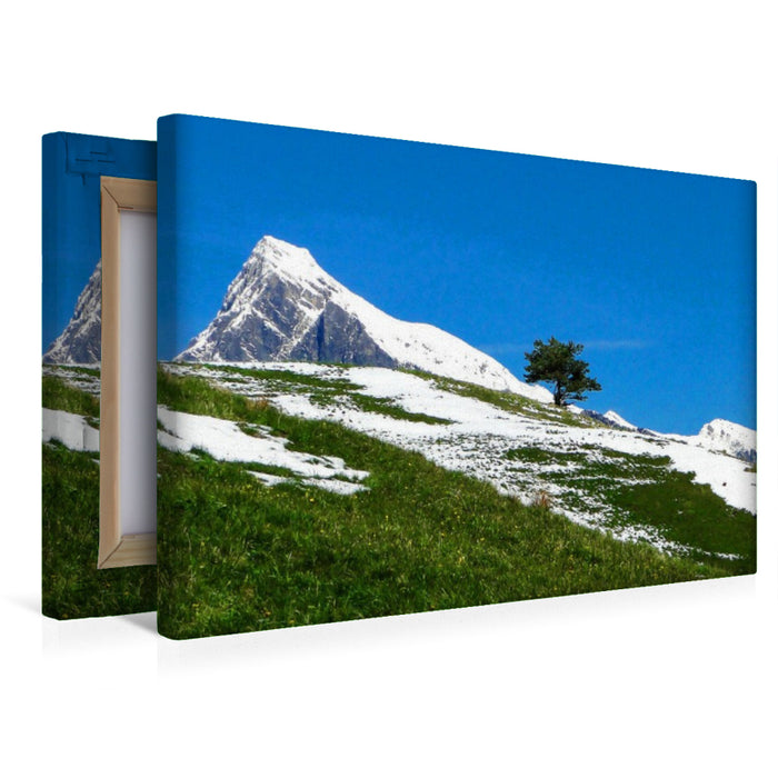 Premium Textil-Leinwand Gauschla / SG