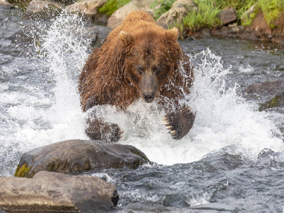 Zugriff - CALVENDO Foto-Puzzle'