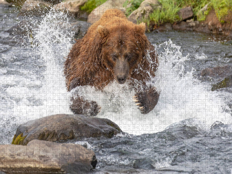 Zugriff - CALVENDO Foto-Puzzle'