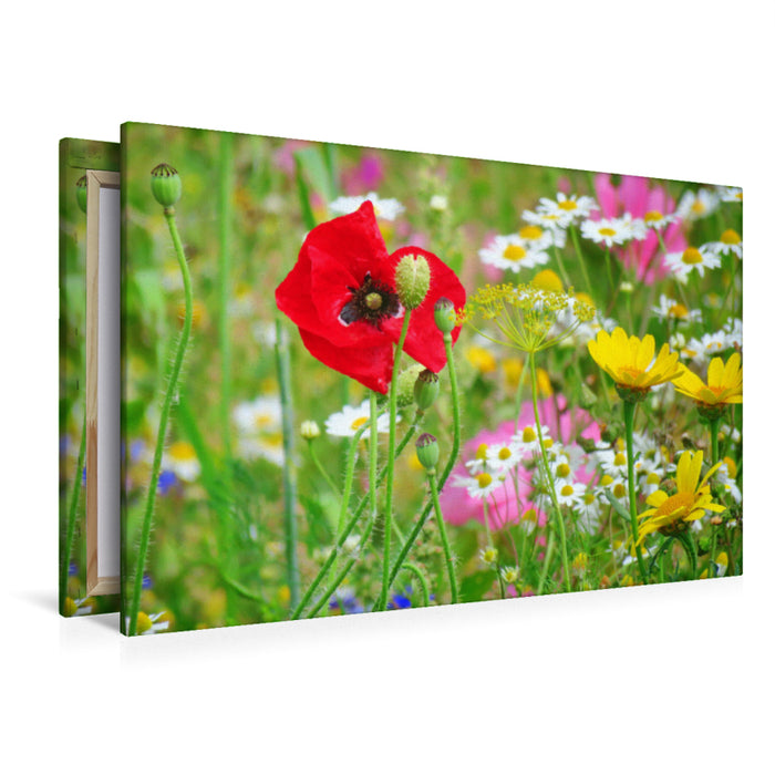 Premium Textil-Leinwand Bunte Blumenwiese