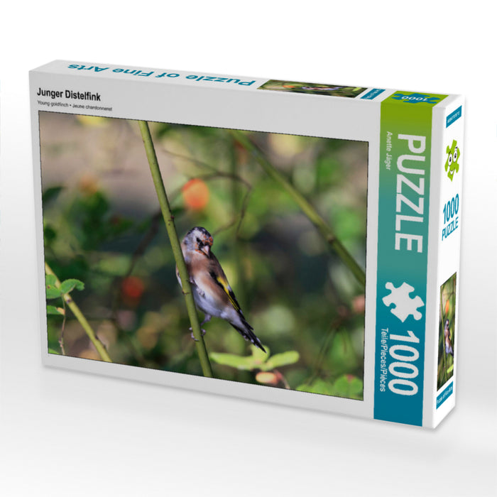 Junger Distelfink 1000 Teile Puzzle quer - CALVENDO Foto-Puzzle'