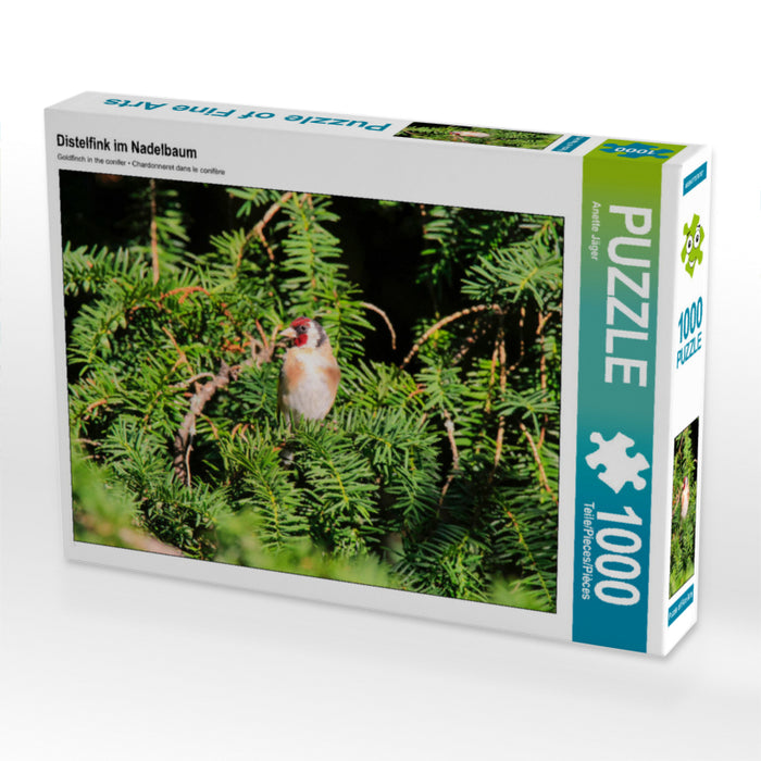Chardonneret dans un conifère - Puzzle photo CALVENDO 