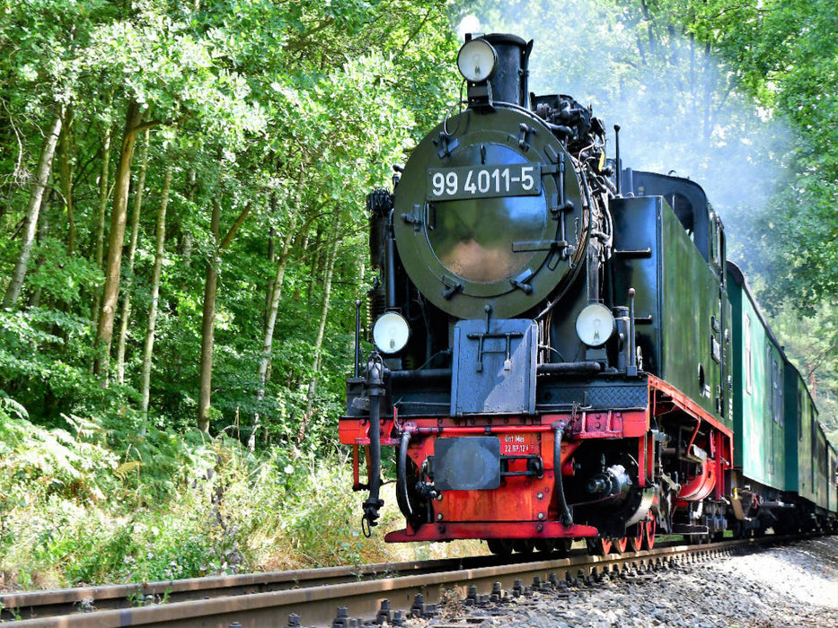 Durch die Wälder Rügens - CALVENDO Foto-Puzzle'