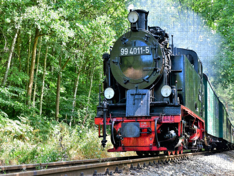 Durch die Wälder Rügens - CALVENDO Foto-Puzzle'
