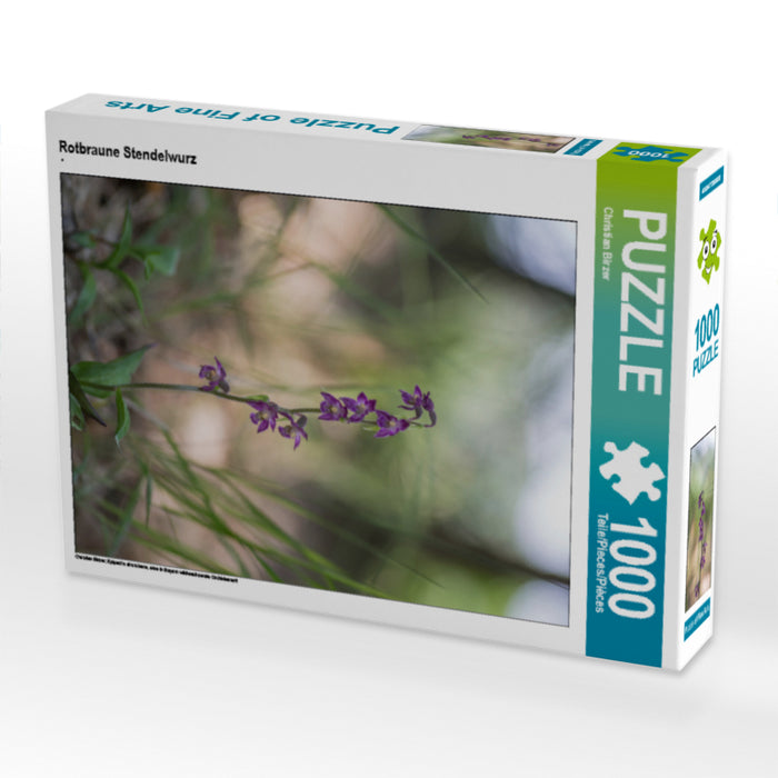 Rotbraune Stendelwurz 1000 Teile Puzzle hoch - CALVENDO Foto-Puzzle'