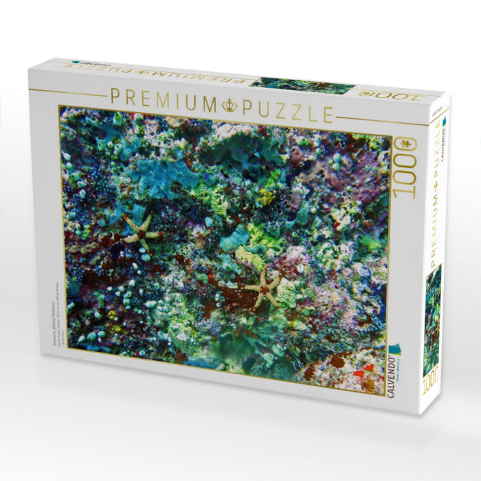 Seesterne, Bathala, Malediven - CALVENDO Foto-Puzzle'
