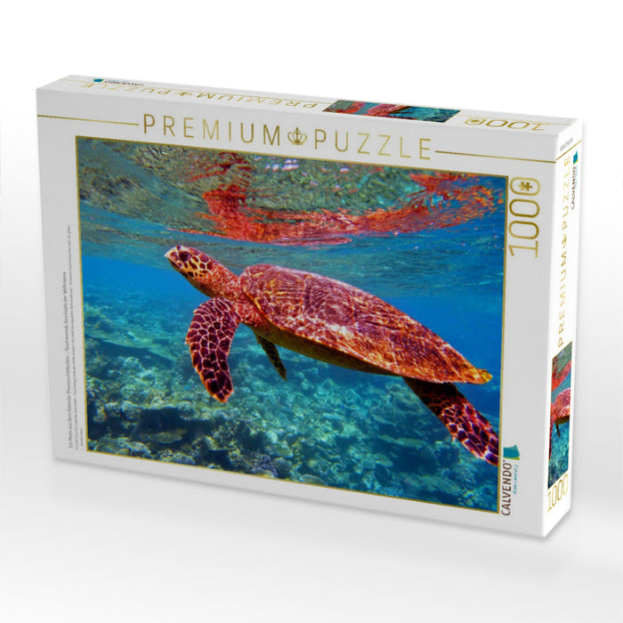 Ein Motiv aus dem Kalender Meeresschildkröten – Faszinierende Geschöpfe der Weltmeere - CALVENDO Foto-Puzzle'