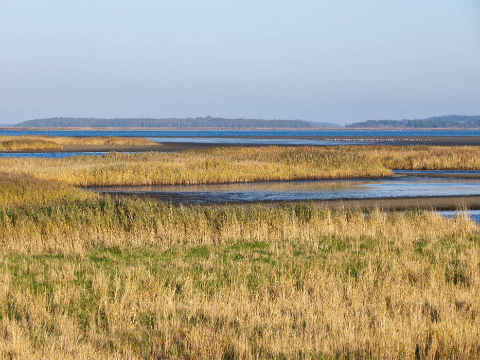 Vue du Bodden - Puzzle photo CALVENDO 