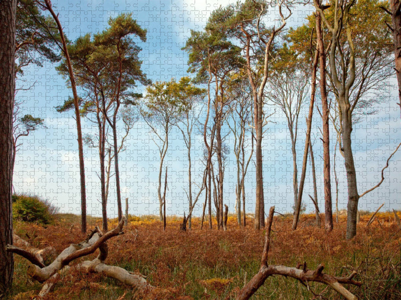Bäume am Weststrand - CALVENDO Foto-Puzzle'