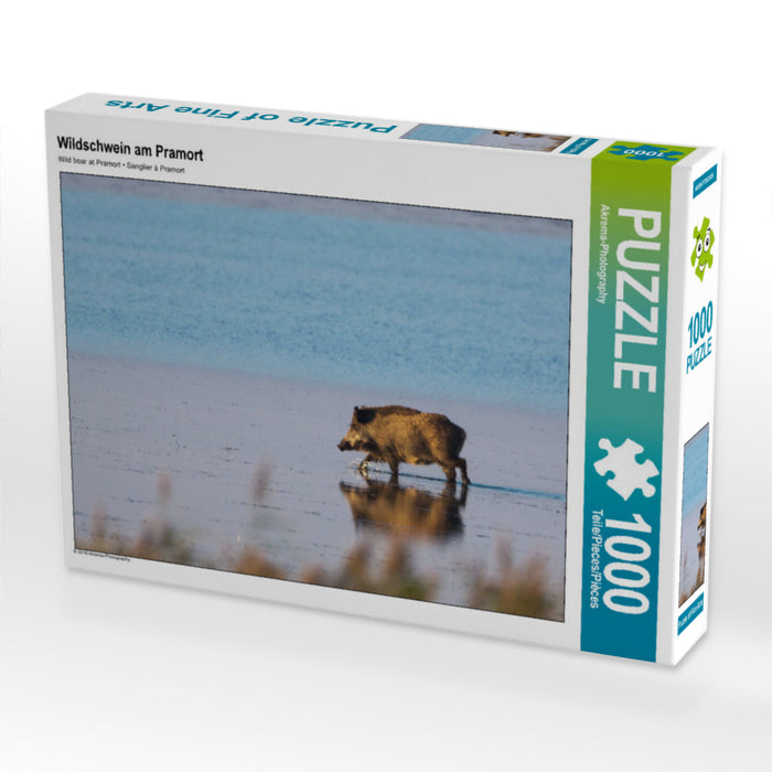 Wildschwein am Pramort 1000 Teile Puzzle quer - CALVENDO Foto-Puzzle'