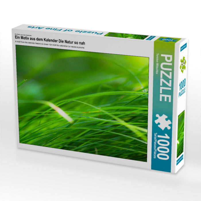 Ein Motiv aus dem Kalender Die Natur so nah 1000 Teile Puzzle quer - CALVENDO Foto-Puzzle'