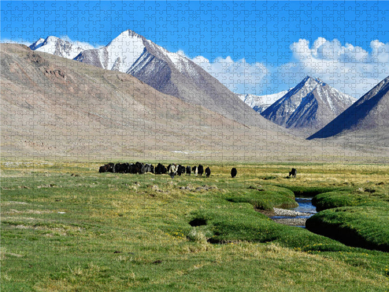 Sommerweide, Uch Kol, Wakhan Korridor, Tadschikistan 1000 Teile Puzzle quer - CALVENDO Foto-Puzzle'