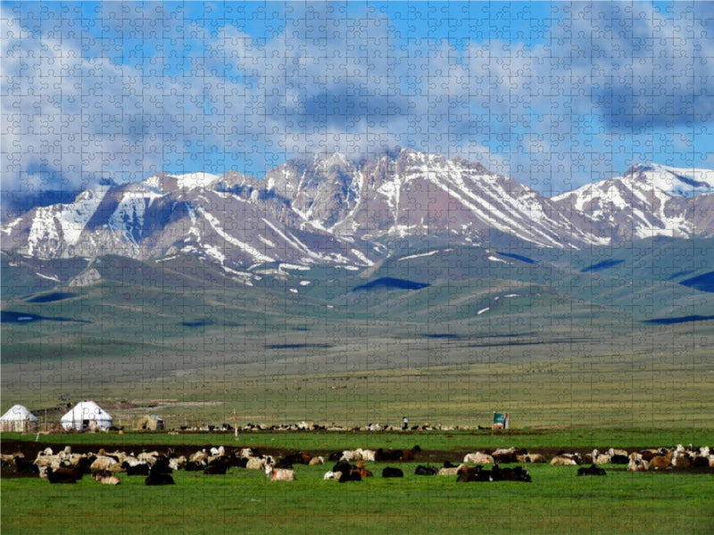 Sommerweide, Song Kul, Kirgisistan 1000 Teile Puzzle quer - CALVENDO Foto-Puzzle'