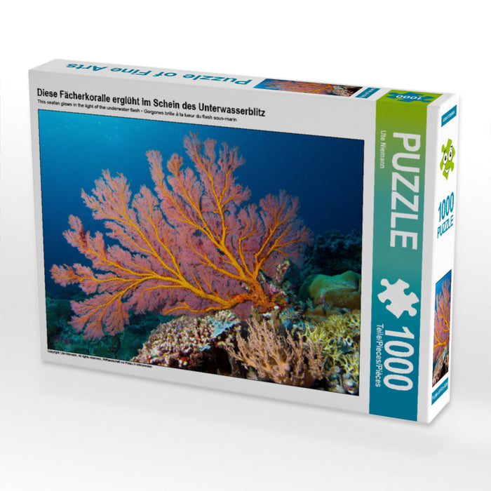 Diese Fächerkoralle erglüht im Schein des Unterwasserblitz 1000 Teile Puzzle quer - CALVENDO Foto-Puzzle'